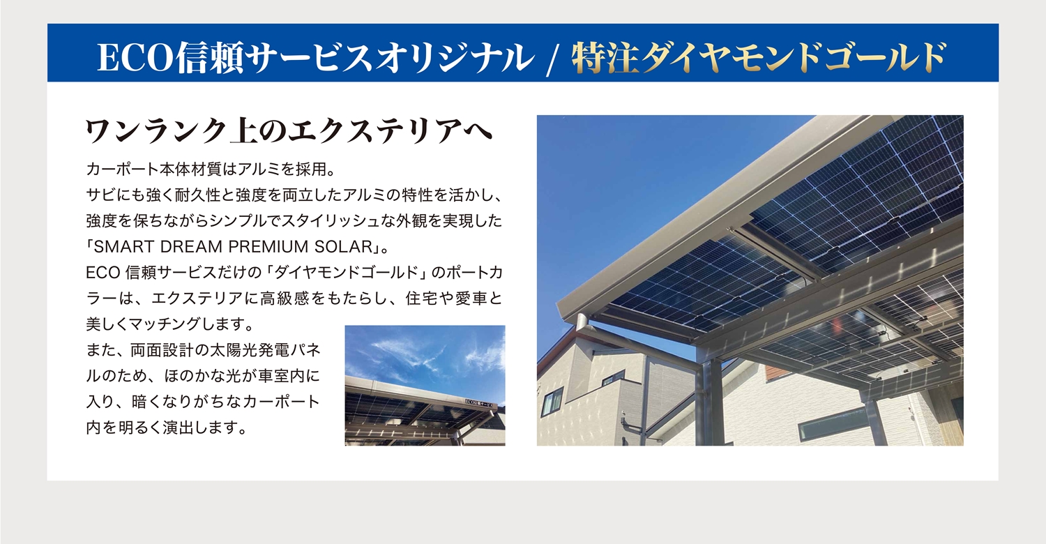 特注ダイヤモンドゴールド